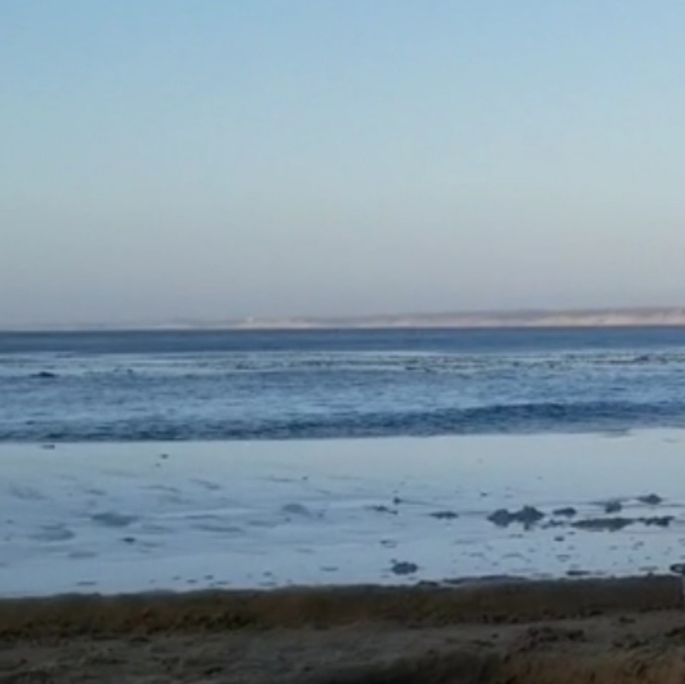 Meet your Posher, Paul